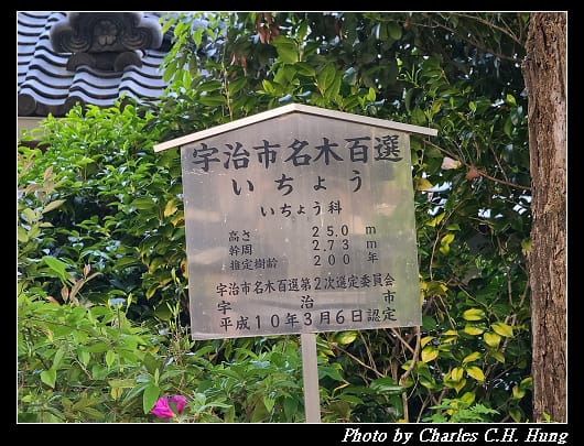 縣神社_015.jpg