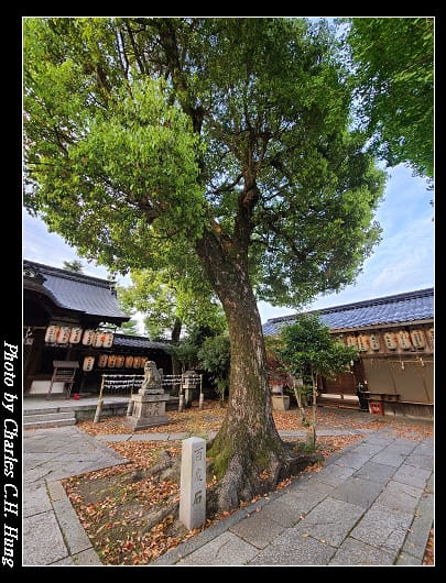 縣神社_011.jpg