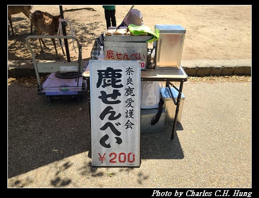 鹿_019.jpg