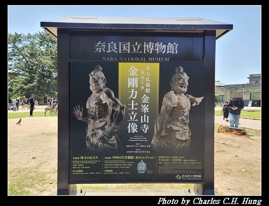 鹿_010.jpg