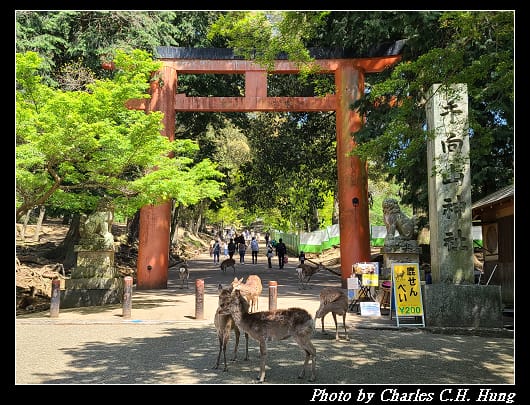 二月堂_001.jpg 二月堂_001.jpg