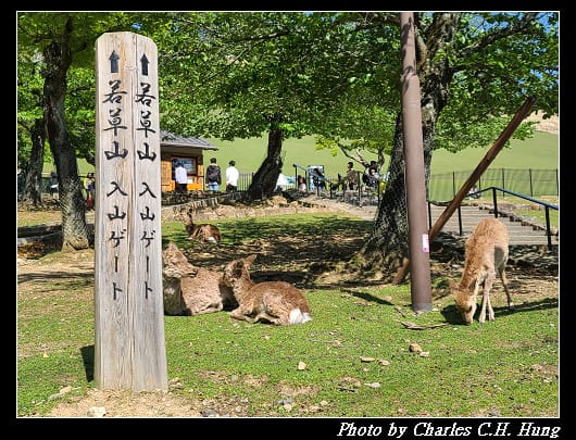 二月堂_067.jpg 二月堂_067.jpg