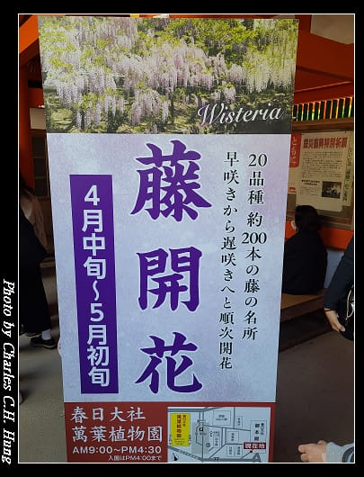 春日大社_031.jpg