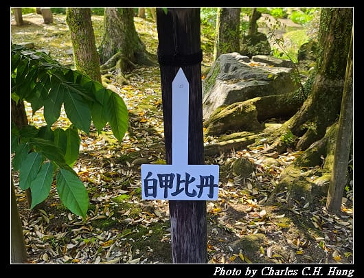 萬葉_025.jpg 萬葉_025.jpg