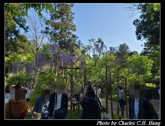 萬葉_028.jpg 萬葉_028.jpg