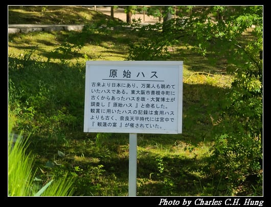 萬葉_009.jpg 萬葉_009.jpg