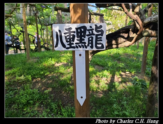 萬葉_041.jpg 萬葉_041.jpg