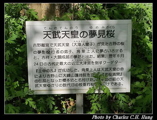 萬葉_014.jpg 萬葉_014.jpg