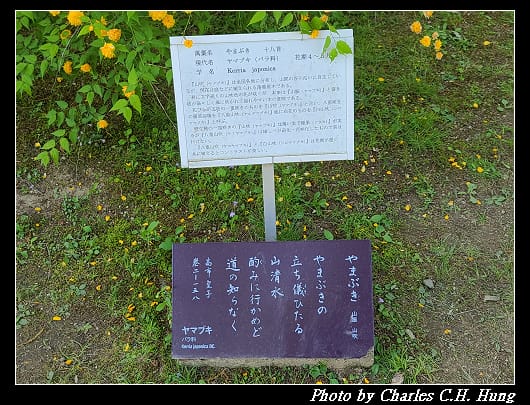 萬葉_012.jpg 萬葉_012.jpg