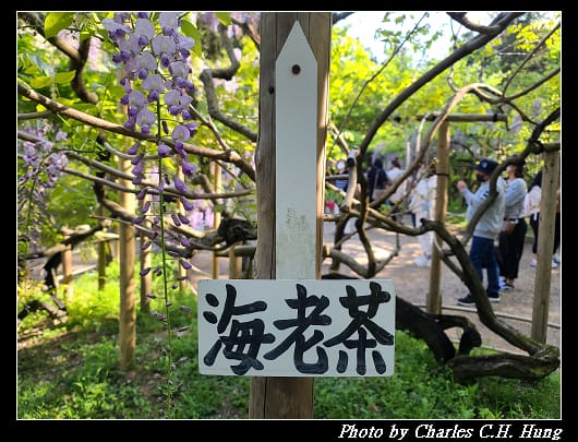 萬葉_030.jpg 萬葉_030.jpg