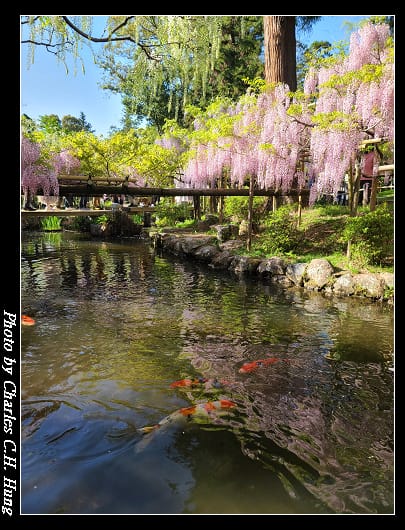 萬葉_049.jpg 萬葉_049.jpg