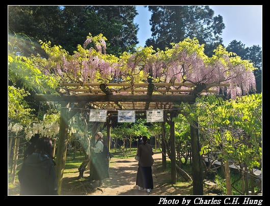 萬葉_042.jpg 萬葉_042.jpg