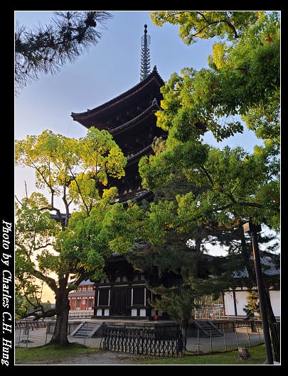 興福寺_001.jpg