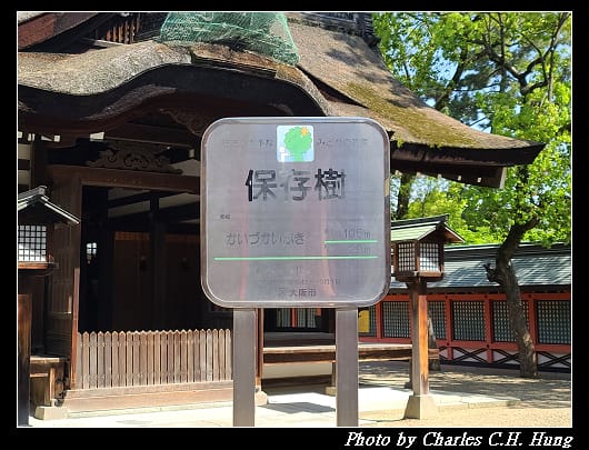 住吉_081.jpg