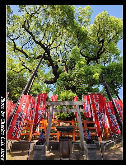 住吉_111.jpg