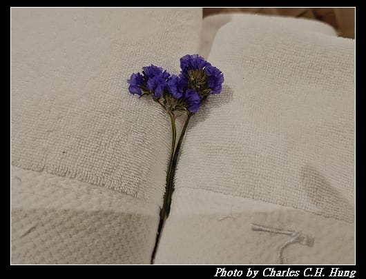 VIVIR_104.jpg VIVIR_104.jpg