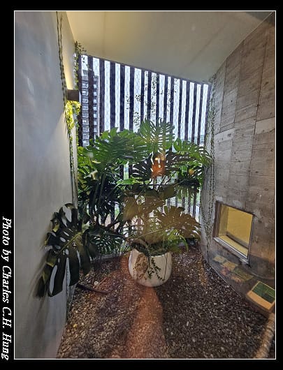 VIVIR_098.jpg VIVIR_098.jpg