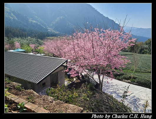 中興_017.jpg