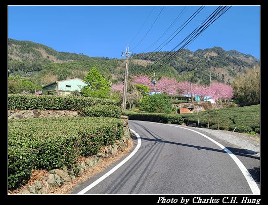 中興_004.jpg
