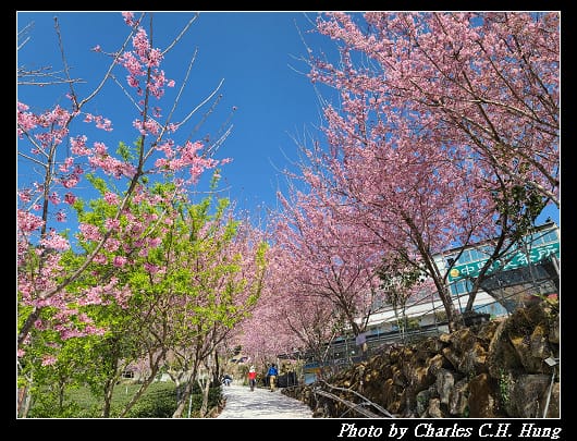 中興_020.jpg