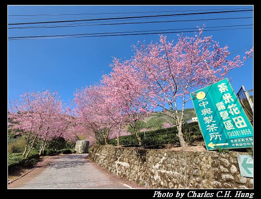 中興_009.jpg