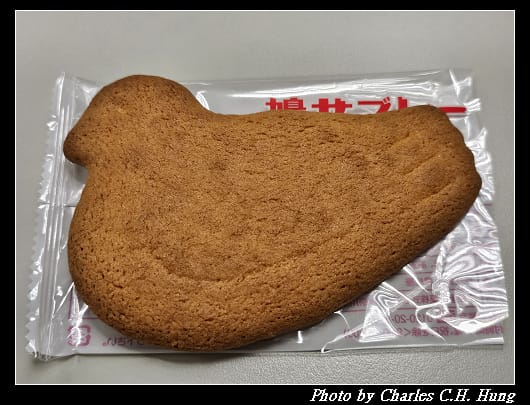 鴿子_009.jpg