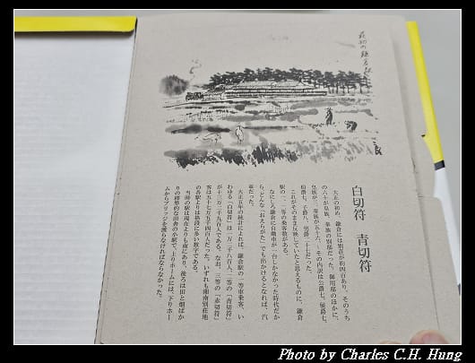 鴿子_005.jpg