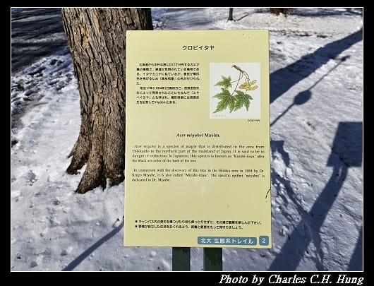 北大_054.jpg