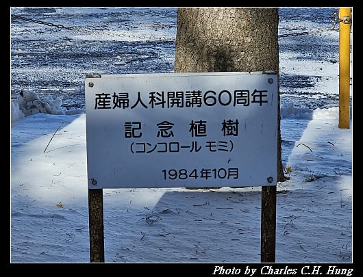 北大_018.jpg