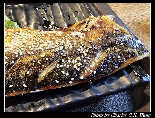 藻樂趣_031.jpg