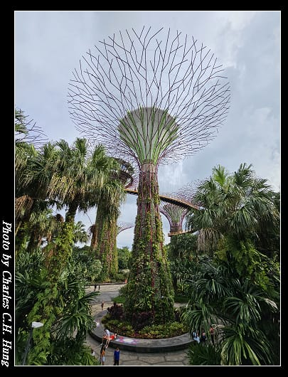 花穹_025.jpg