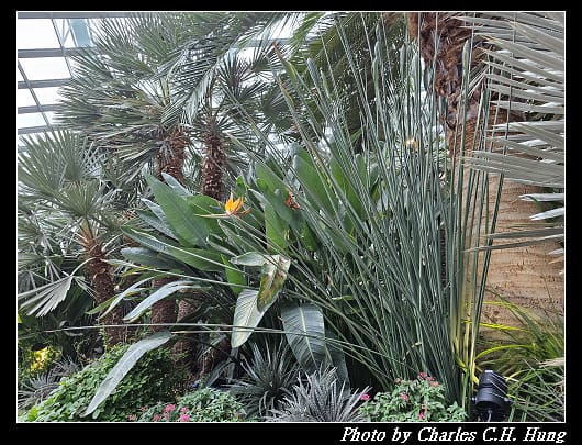 花穹_060.jpg