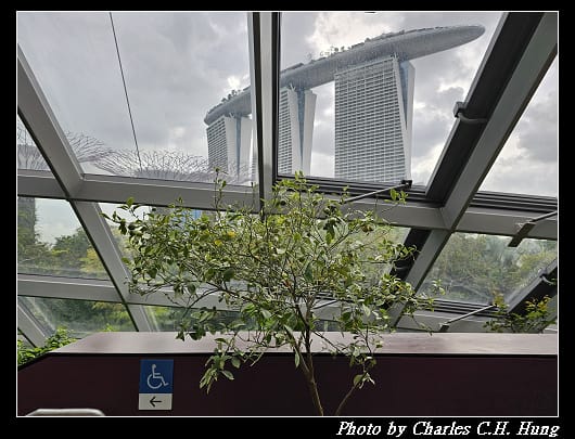 花穹_068.jpg