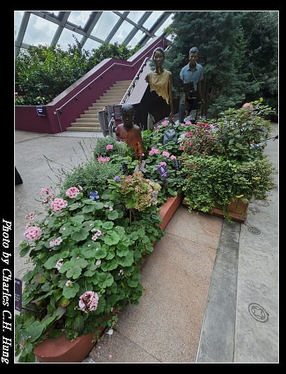 花穹_063.jpg
