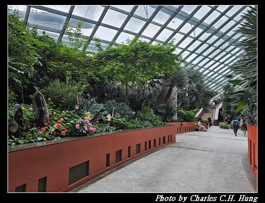 花穹_057.jpg