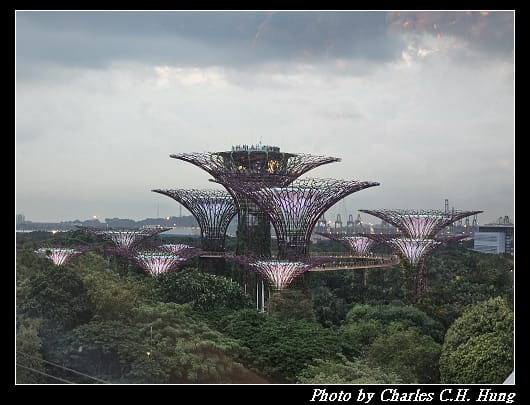 雲霧林_059.jpg 雲霧林_059.jpg