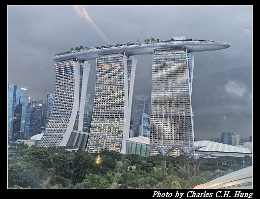 雲霧林_058.jpg 雲霧林_058.jpg
