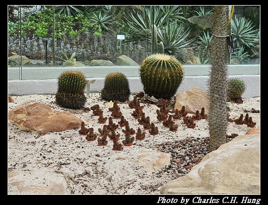 植物園_047.jpg