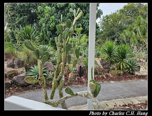 植物園_052.jpg