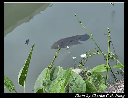 植物園_105.jpg