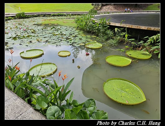 植物園_103.jpg