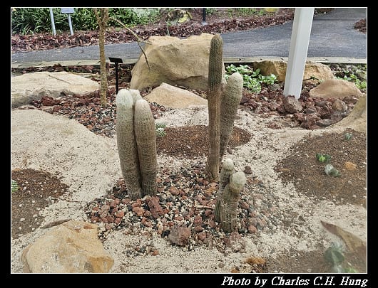 植物園_049.jpg