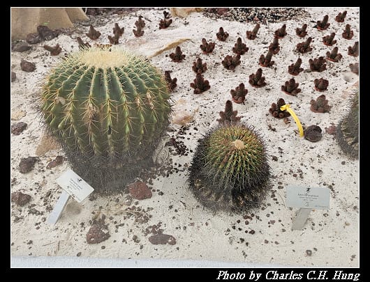 植物園_051.jpg