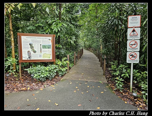 植物園_065.jpg