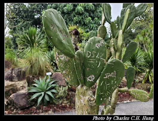植物園_053.jpg