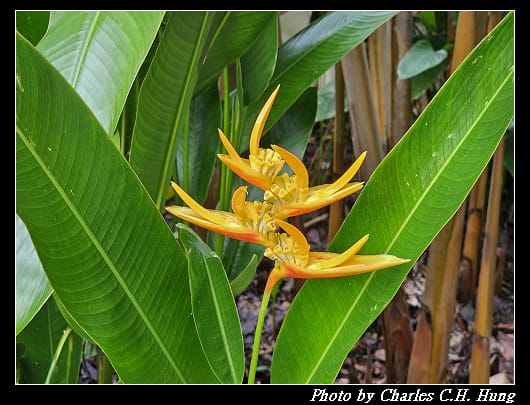 植物園_077.jpg