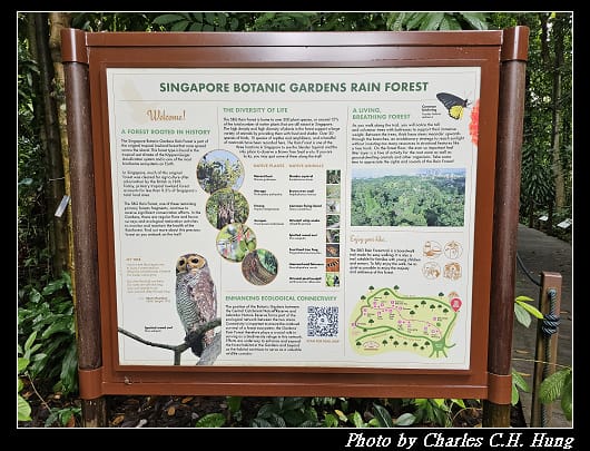 植物園_066.jpg