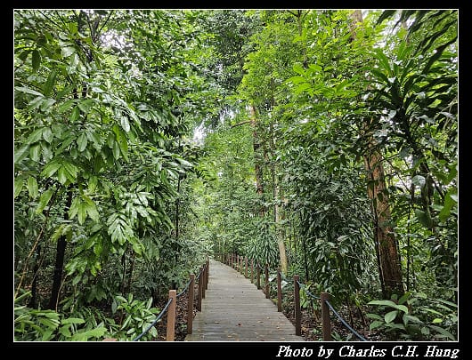 植物園_067.jpg