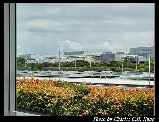 蝴蝶_166.jpg 蝴蝶_166.jpg