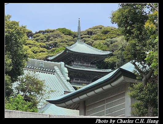 龍口寺_060.jpg